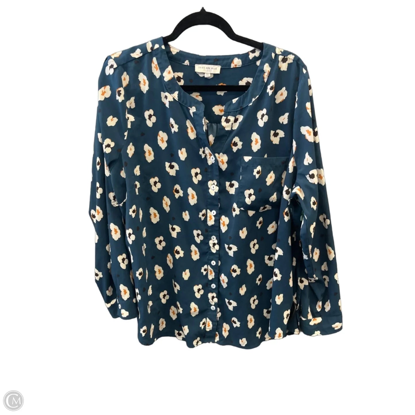 Top Long Sleeve By Skies Are Blue In Blue, Size: 2x