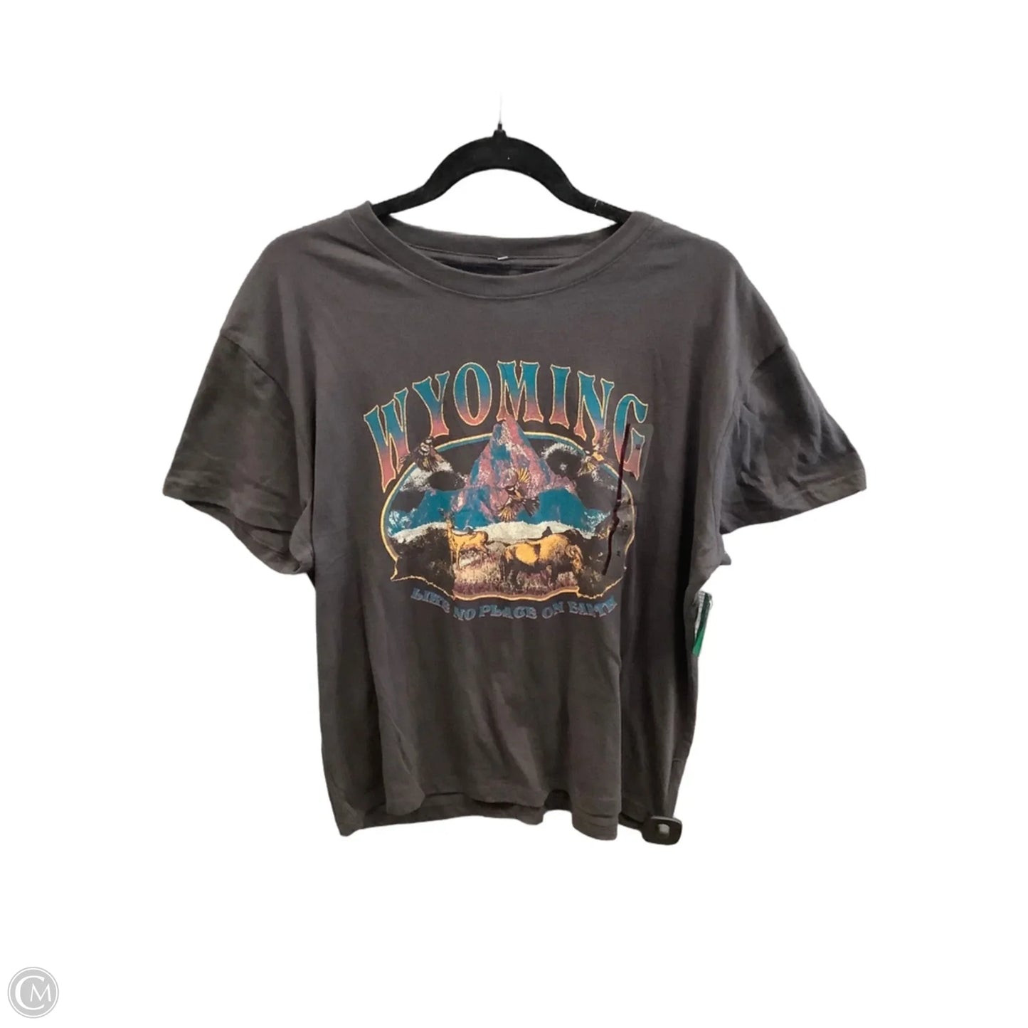 Top Short Sleeve By Clothes Mentor In Grey, Size: Xl