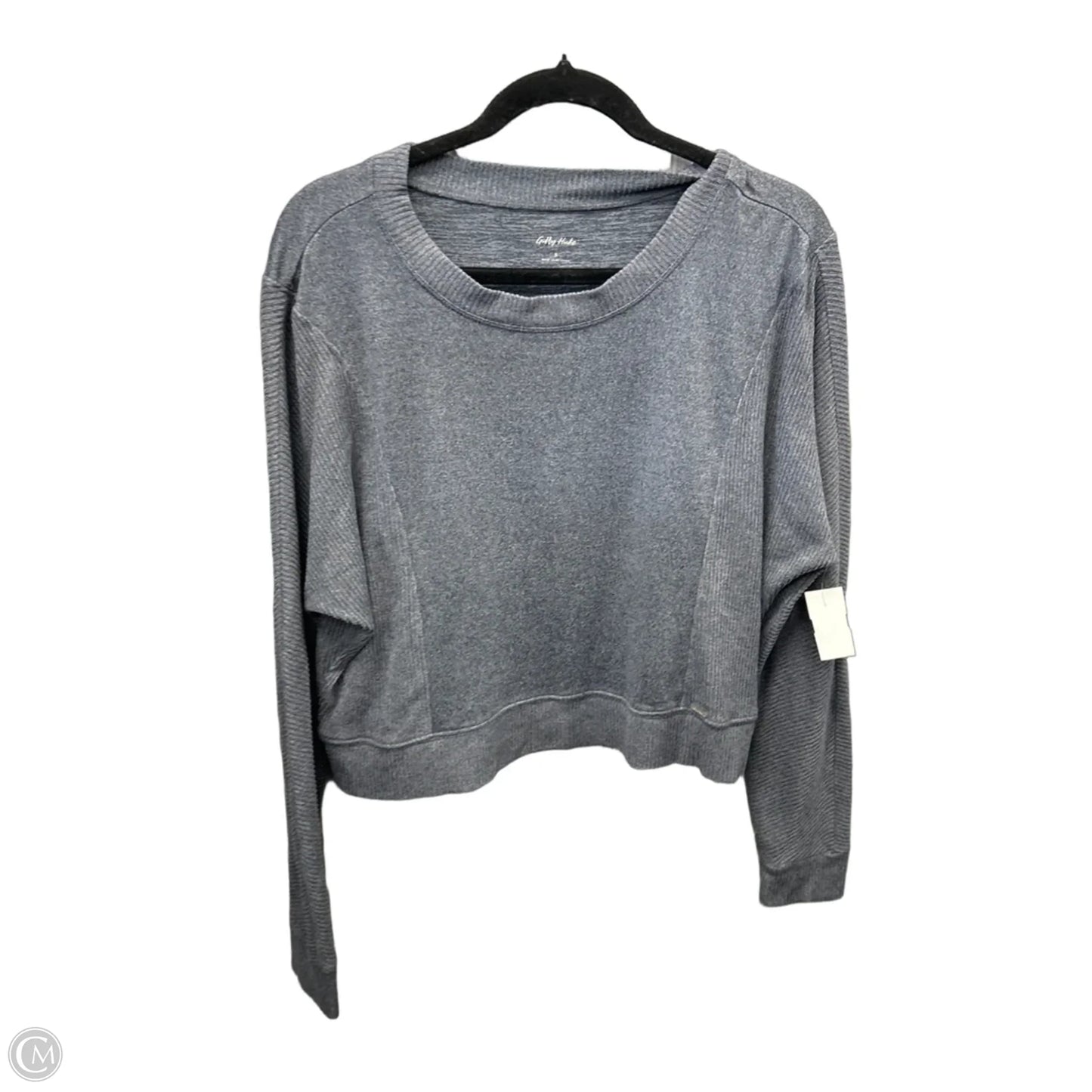 Top Long Sleeve By Gilly Hicks In Grey, Size: S