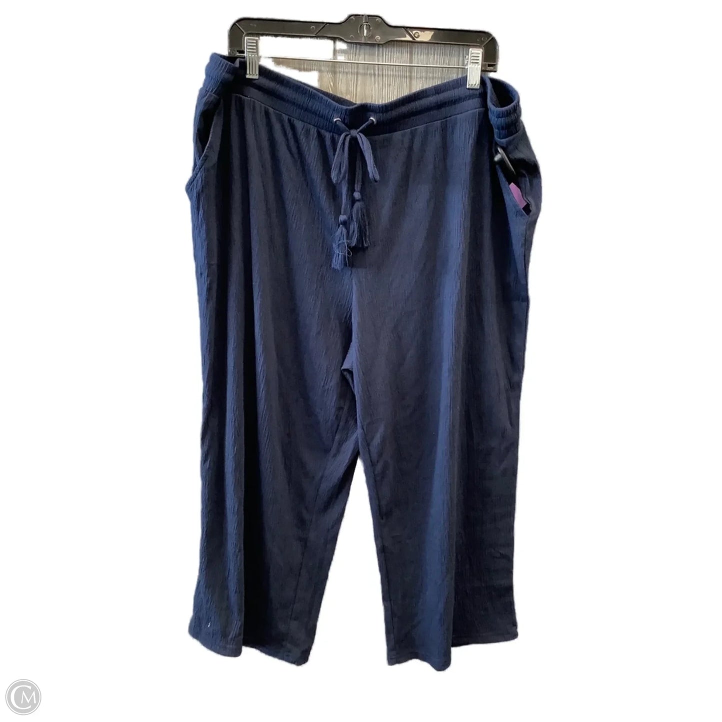 Pants Other By Clothes Mentor In Blue, Size: 14