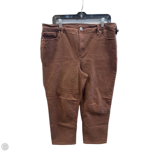 Jeans Straight By Style And Company In Brown Denim, Size: 16