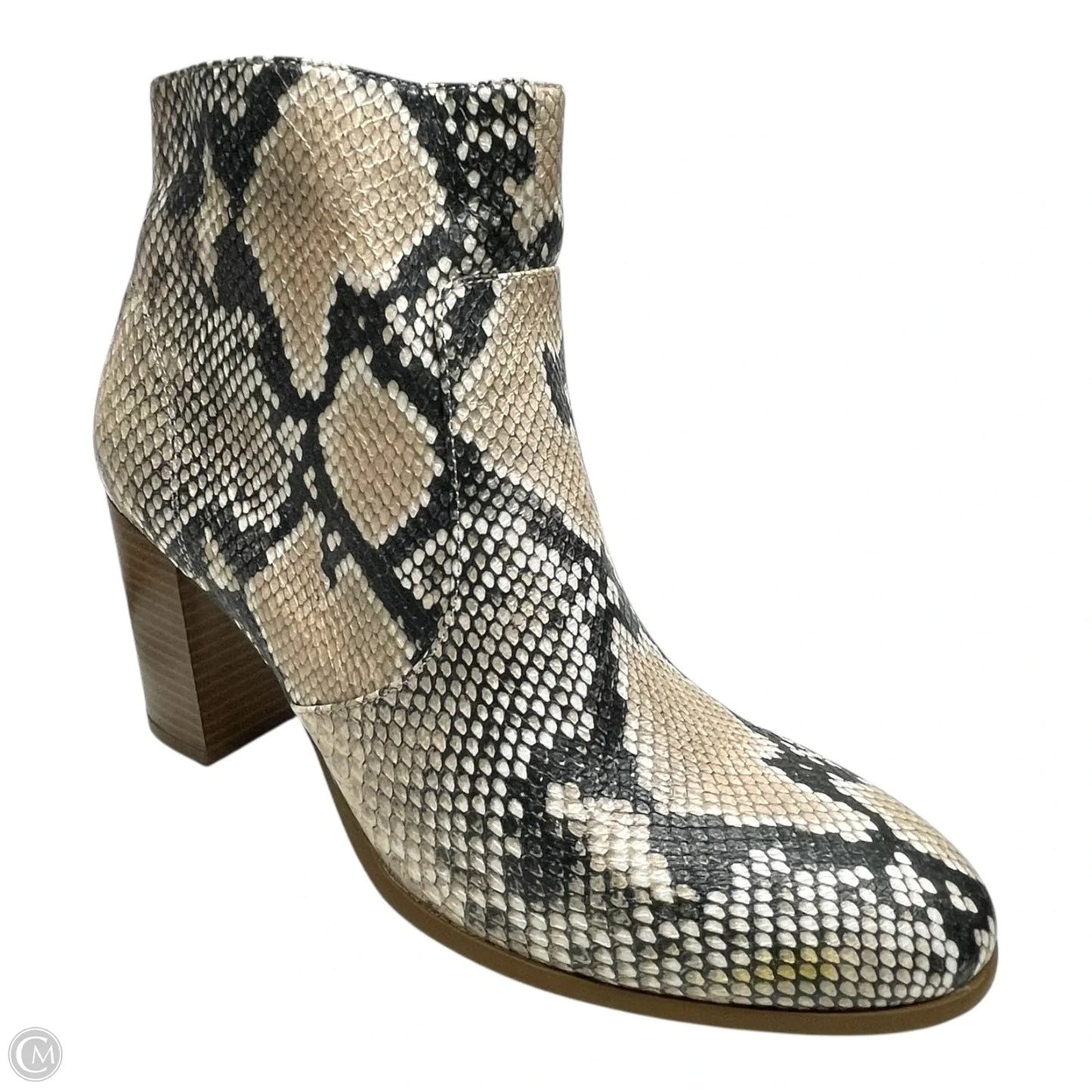 Boots Ankle Heels By Style And Company In Snakeskin Print, Size: 8.5