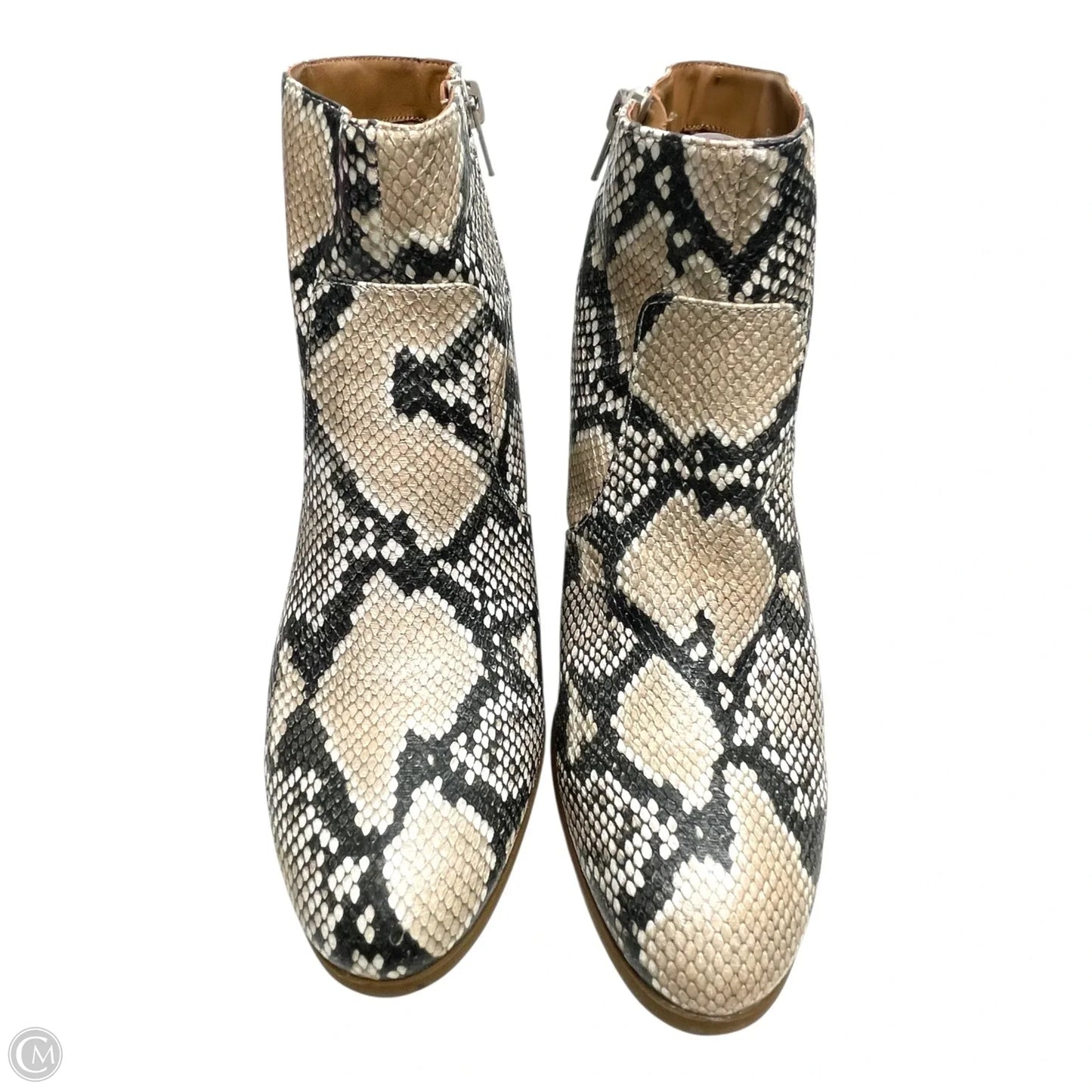 Boots Ankle Heels By Style And Company In Snakeskin Print, Size: 8.5