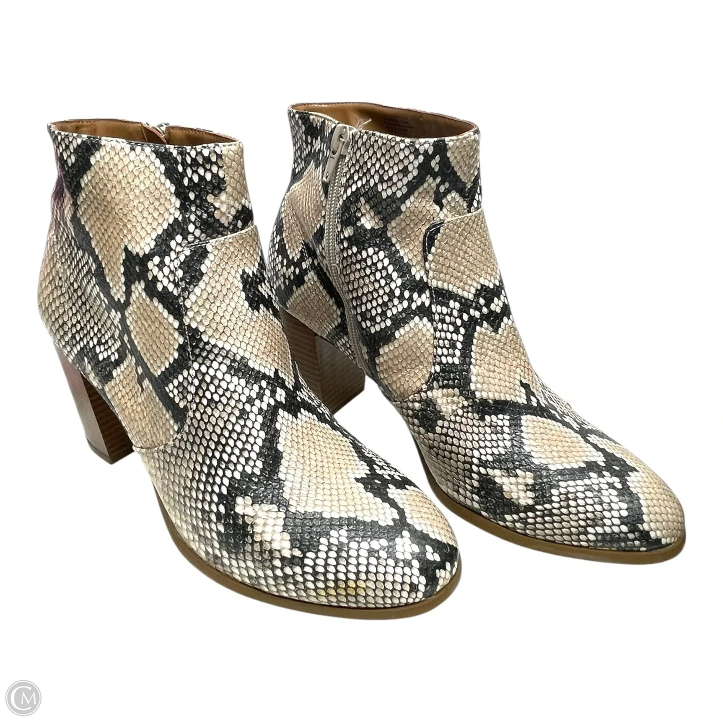 Boots Ankle Heels By Style And Company In Snakeskin Print, Size: 8.5
