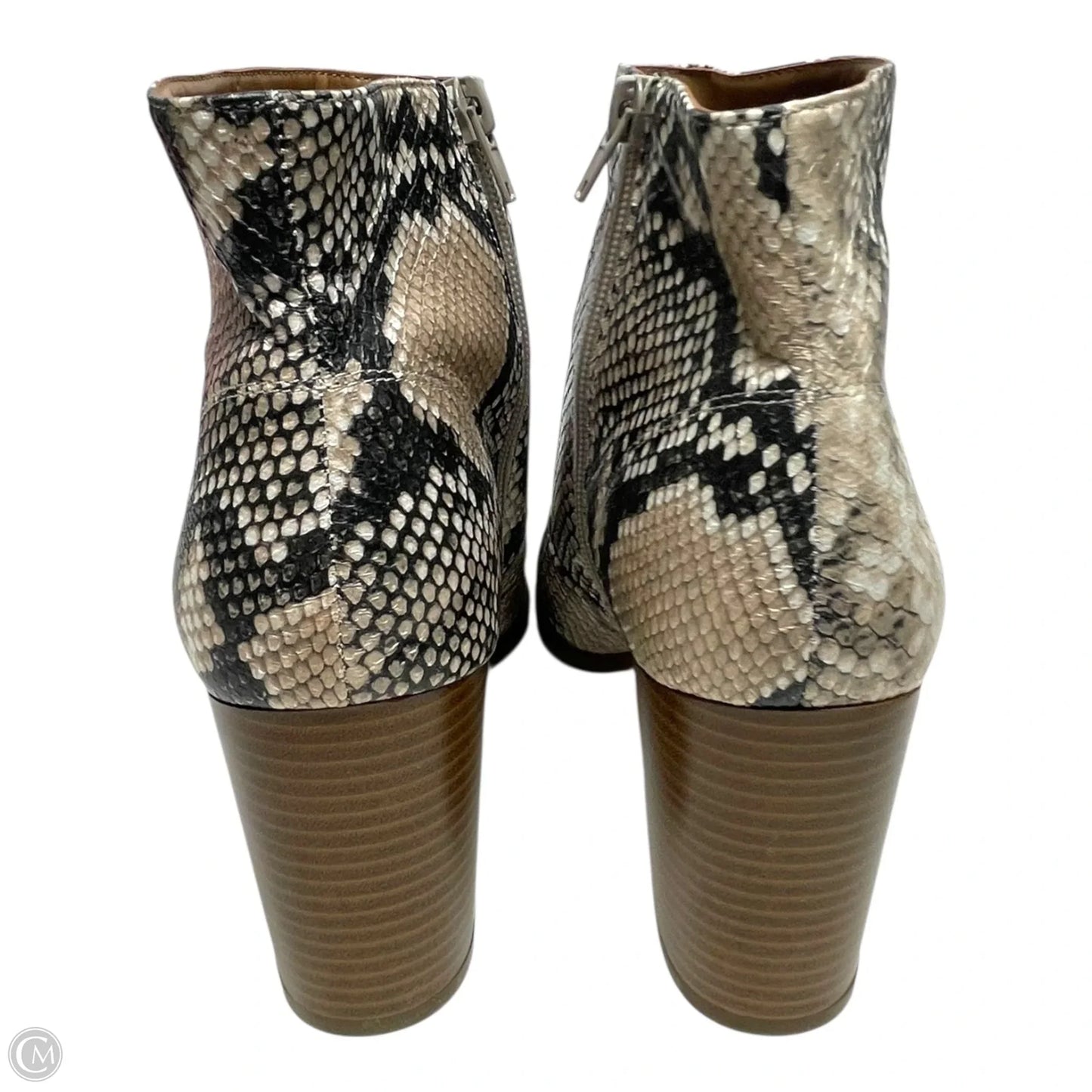 Boots Ankle Heels By Style And Company In Snakeskin Print, Size: 8.5