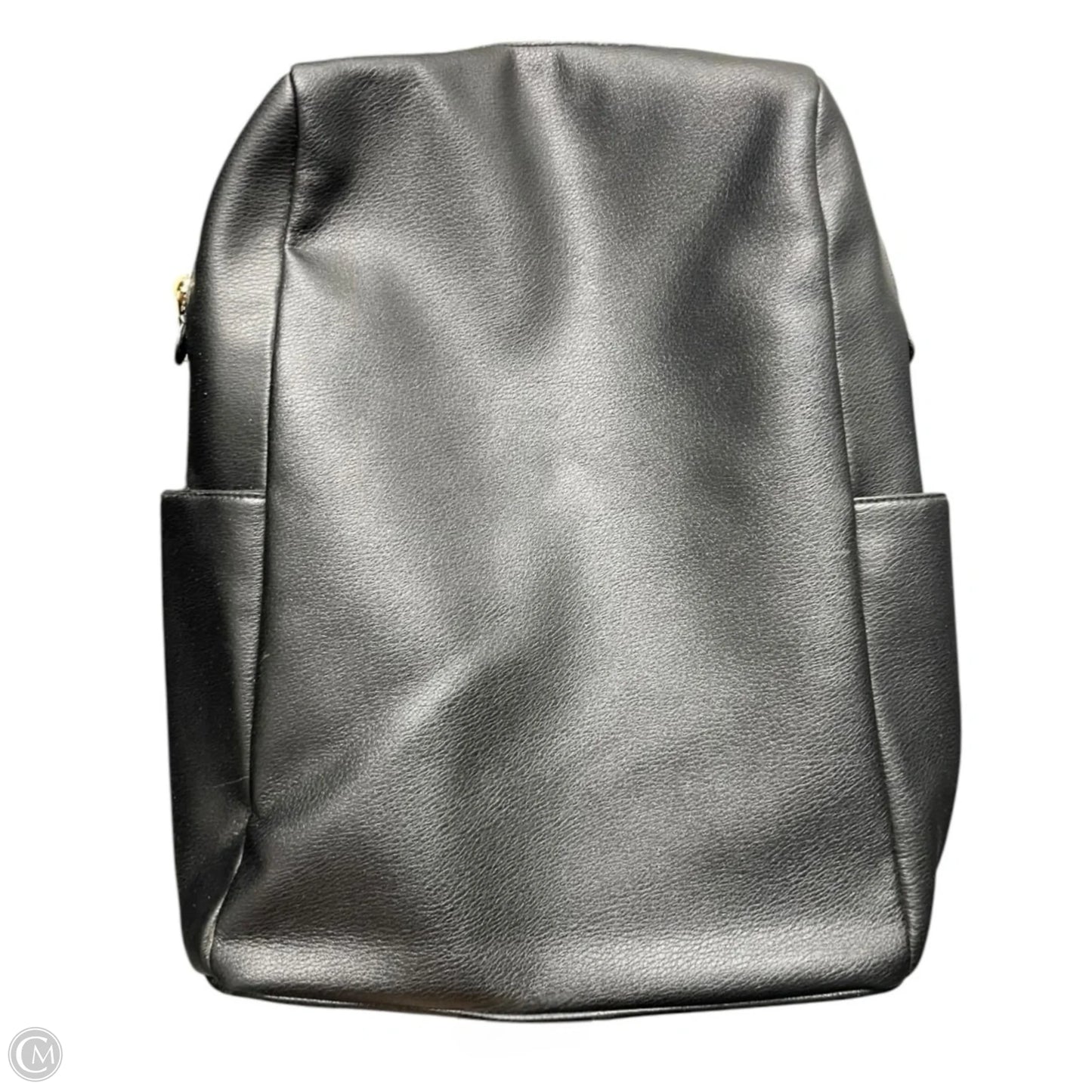 Backpack By A New Day, Size: Large