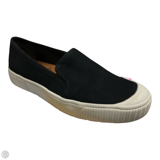 Shoes Flats By Zodiac In Black, Size: 8.5