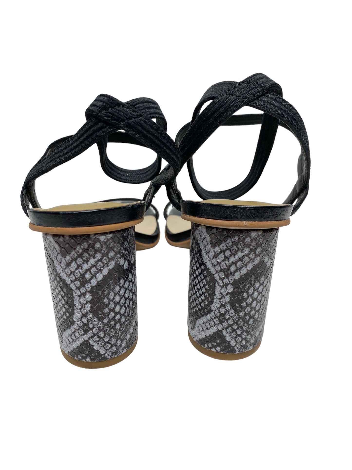 Snakeskin Print Shoes Heels Block Dolce Vita, Size 8.5