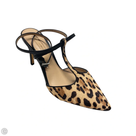 Shoes Heels Stiletto By Antonio Melani In Animal Print, Size: 5.5