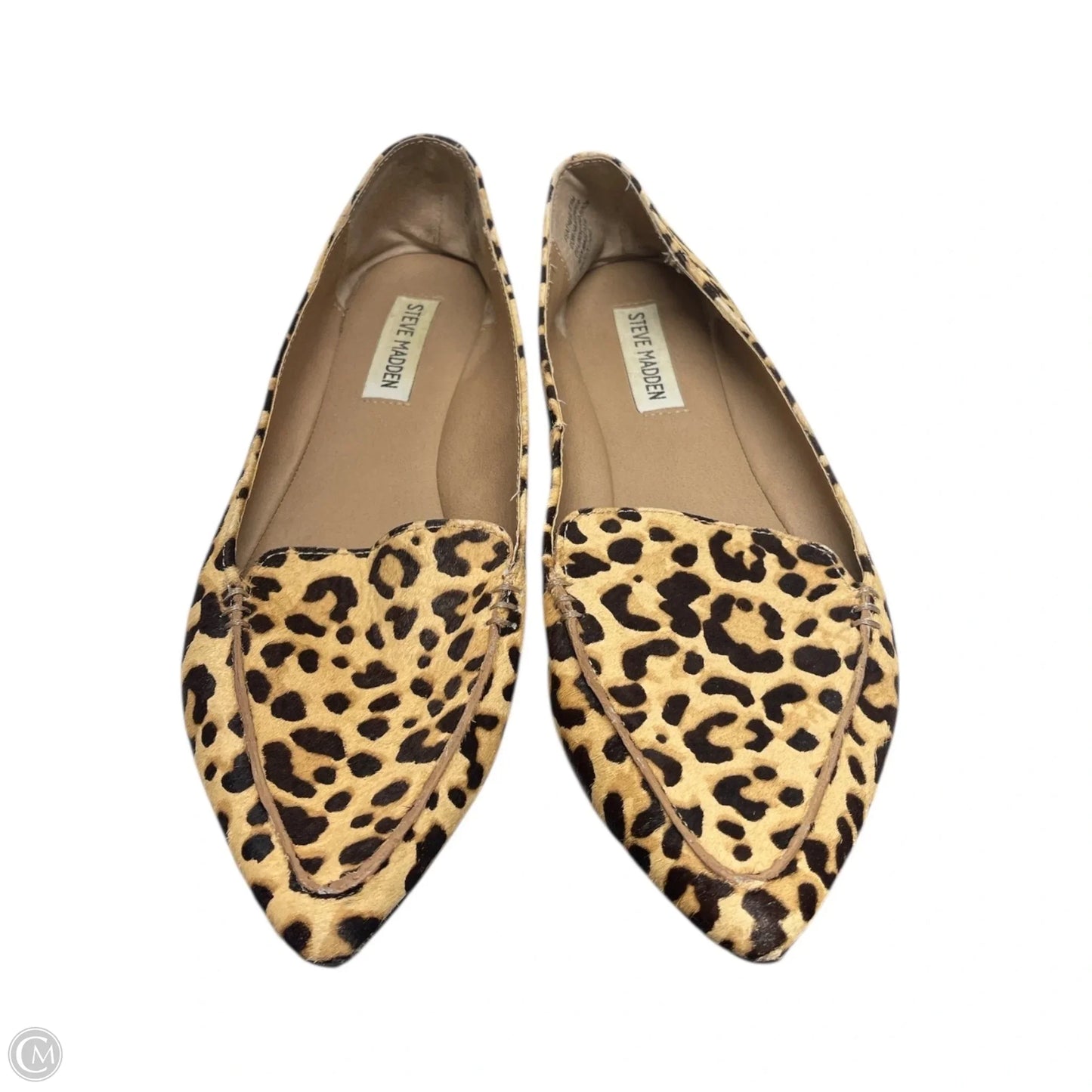 Shoes Flats By Steve Madden In Animal Print, Size: 8.5