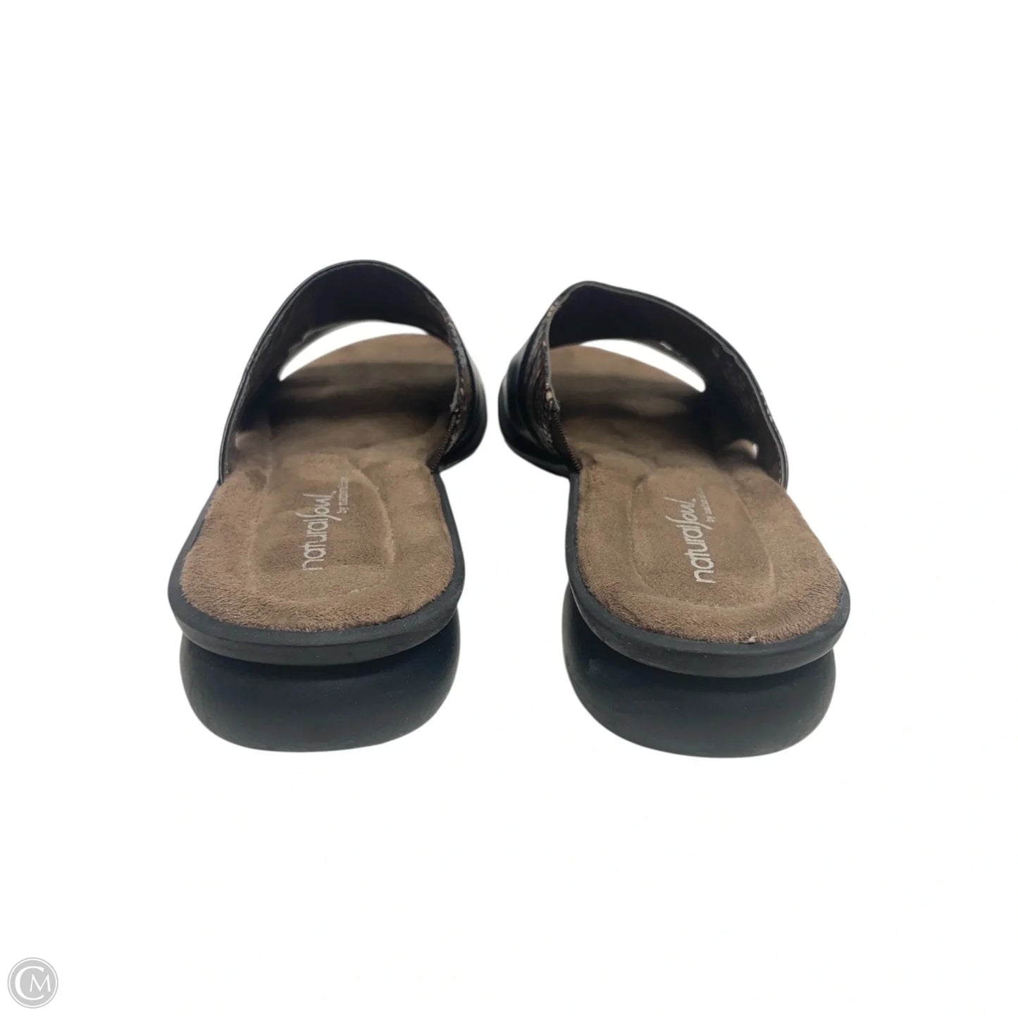 Sandals Flats By Natural Soul In Black & Brown, Size: 8