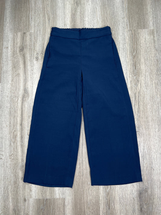 Navy Pants Cropped Madewell, Size Xs