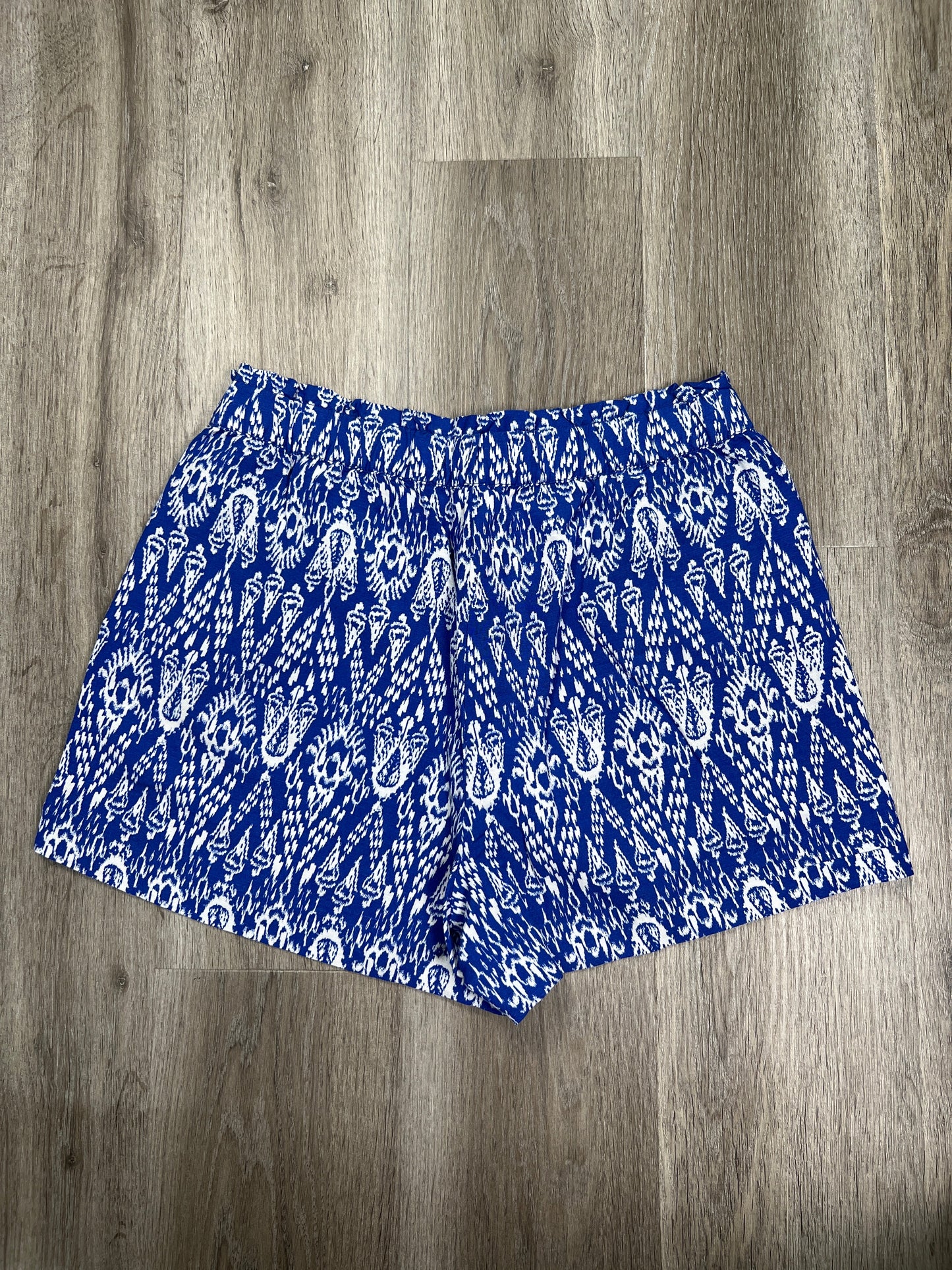 Blue & White Shorts Loft, Size M
