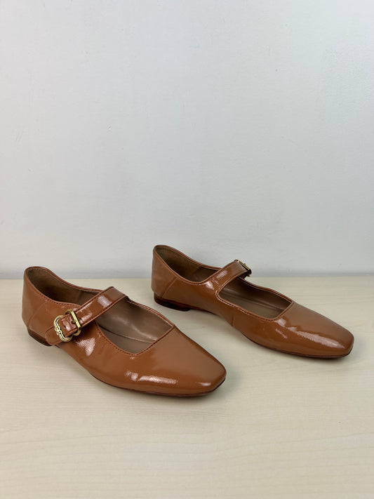 Shoes Flats By Sam Edelman In Brown, Size: 8