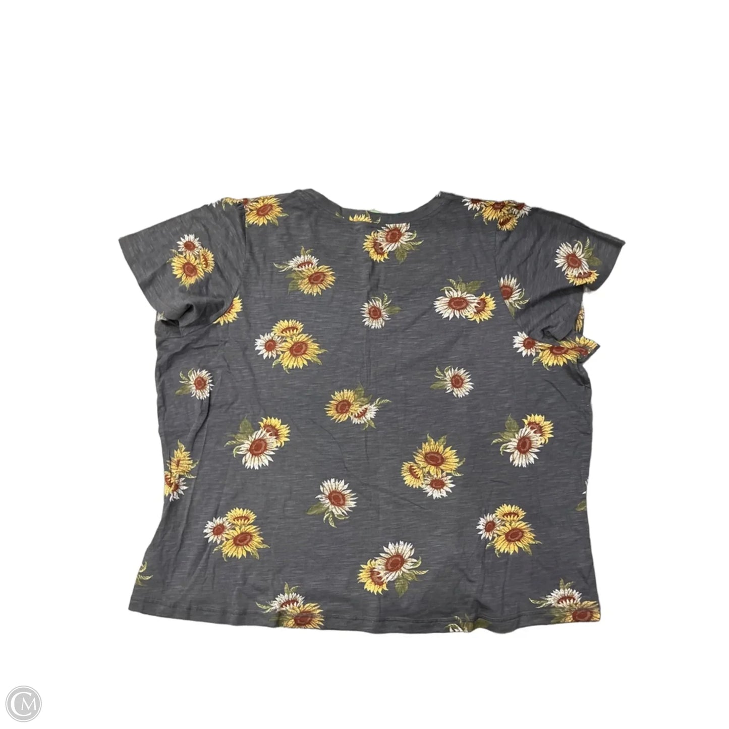 Top Short Sleeve By Maurices In Grey, Size: 4x