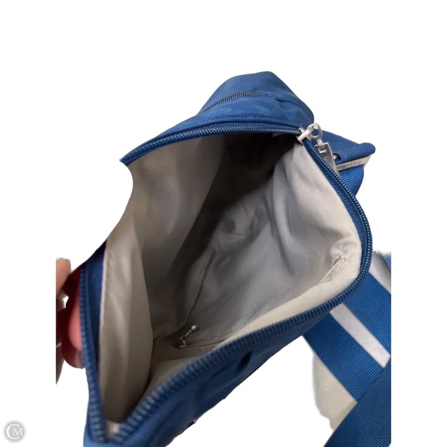 Backpack By Baggallini, Size: Small