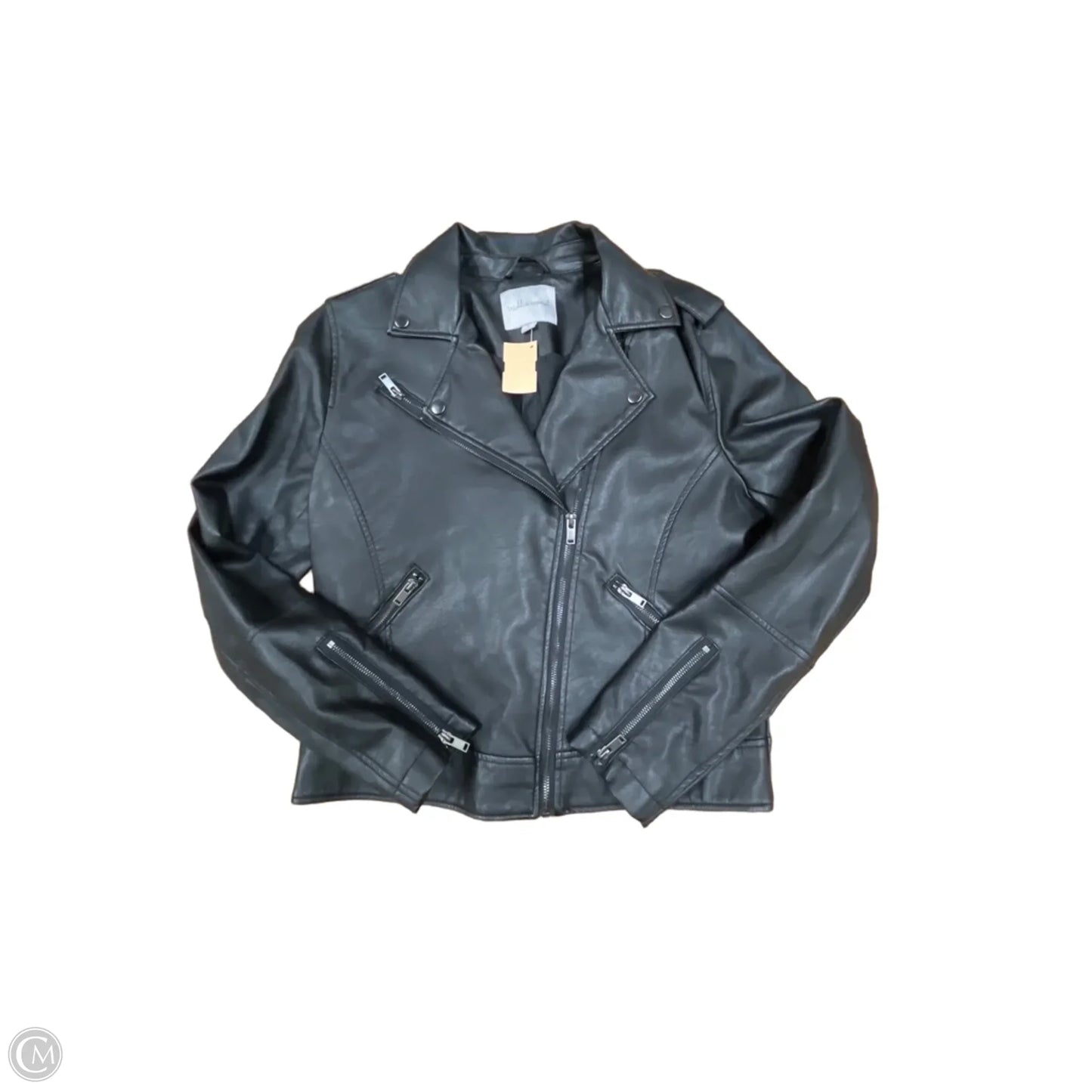 Jacket Moto By Wishlist In Black, Size: L
