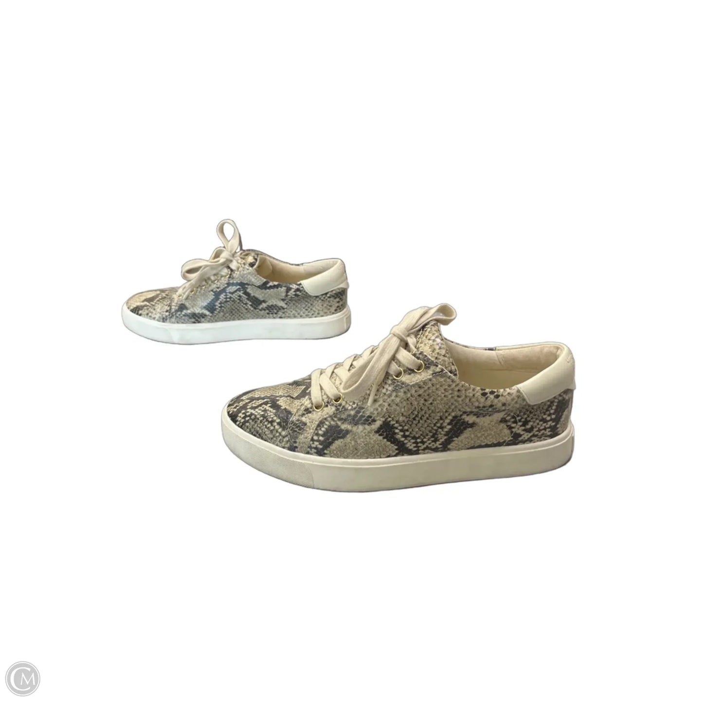 Shoes Sneakers By Sam Edelman In Snakeskin Print, Size: 9.5