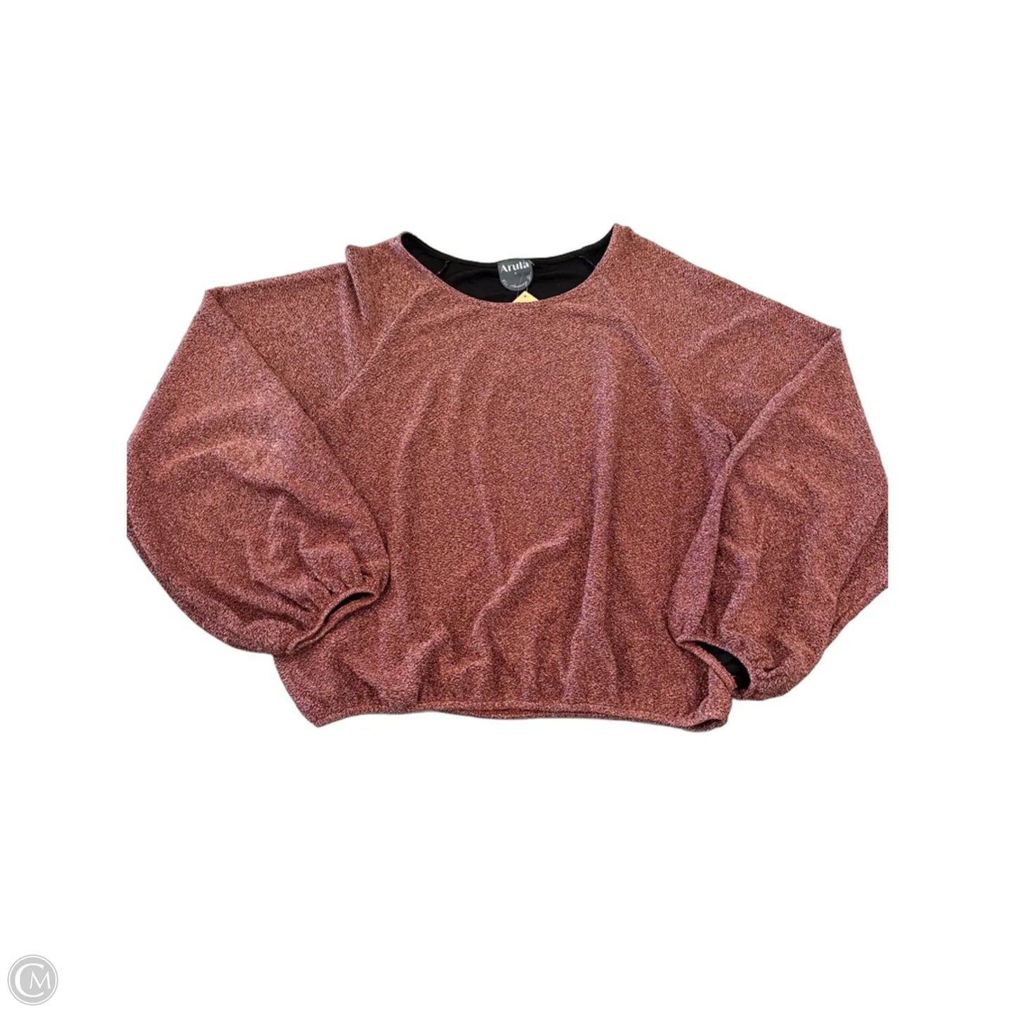 Top Long Sleeve By Arula In Rose Gold, Size: 1x