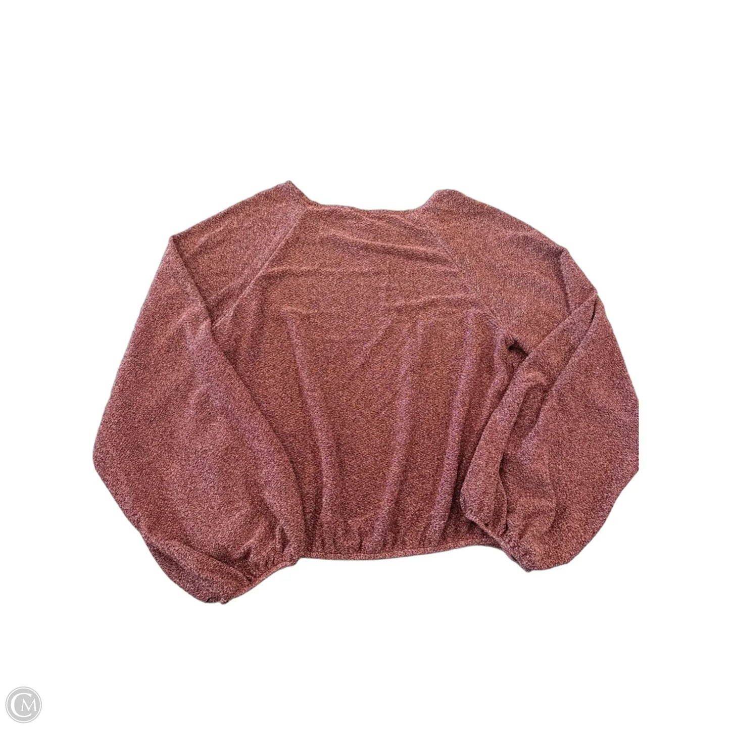 Top Long Sleeve By Arula In Rose Gold, Size: 1x