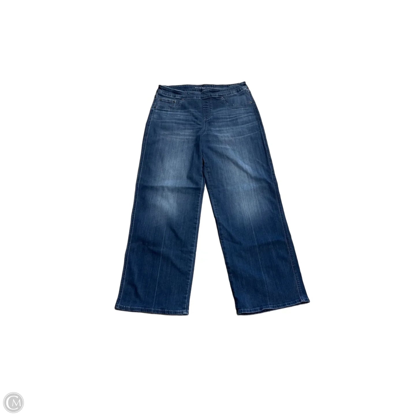Jeans Wide Leg By Chicos In Blue Denim, Size: 12