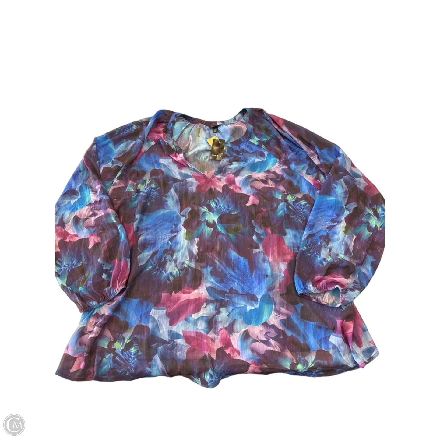Blouse Long Sleeve By Torrid In Blue, Size: 4x