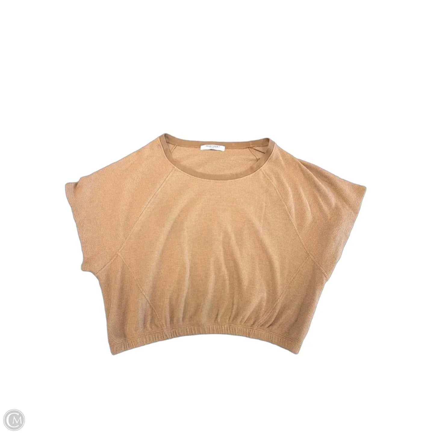 Top Short Sleeve By Project Social Tee In Brown, Size: L