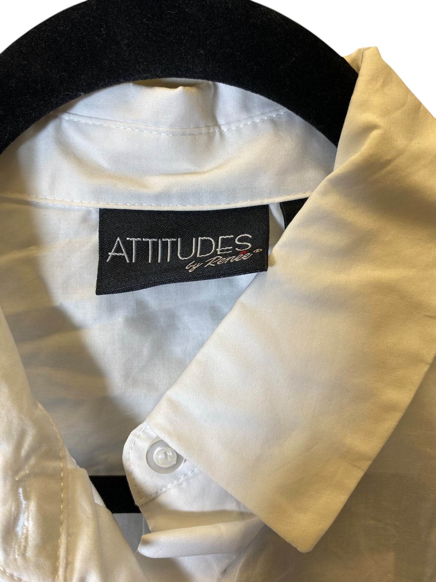 Blouse Long Sleeve By Attitude In White, Size: 0