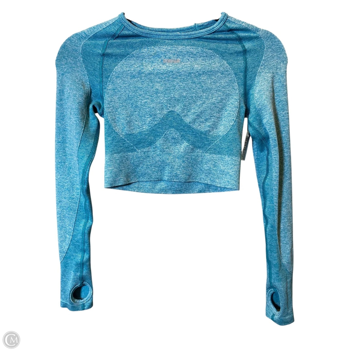 Athletic Top Long Sleeve Crewneck By Gym Shark In Aqua, Size: S