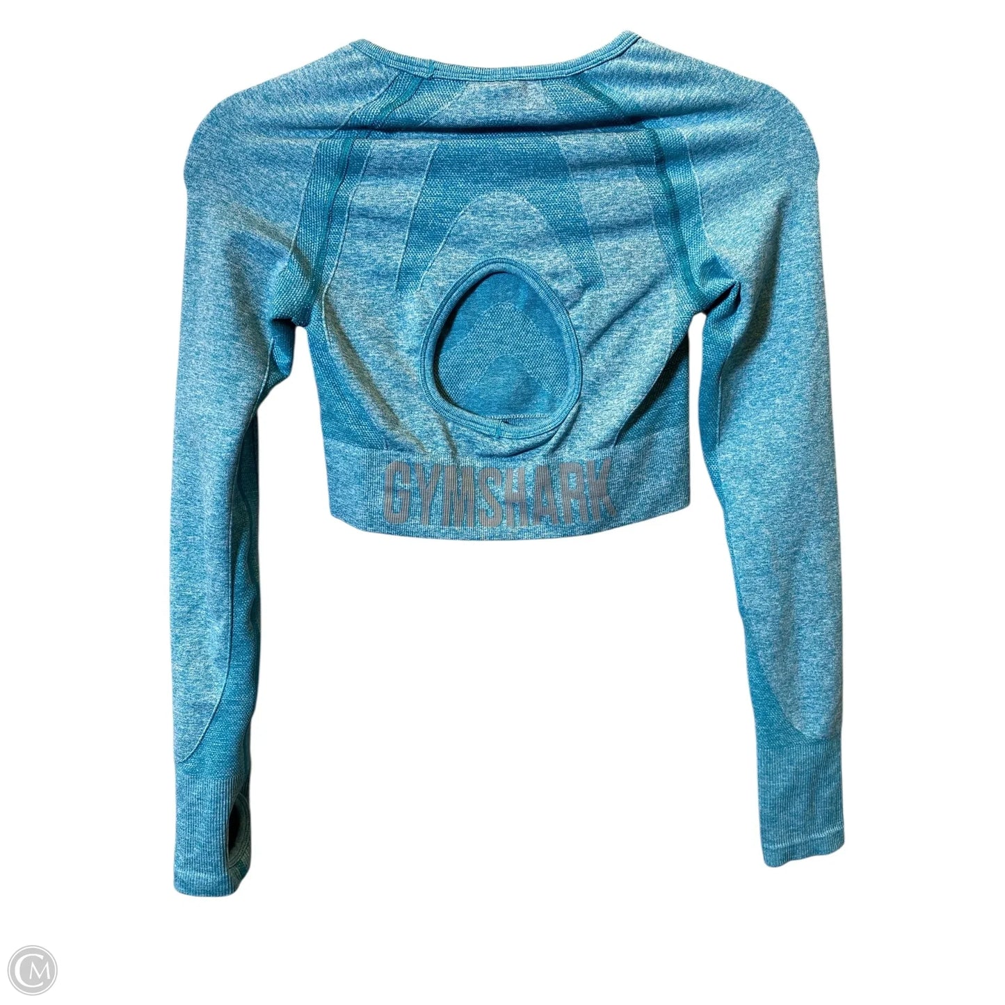 Athletic Top Long Sleeve Crewneck By Gym Shark In Aqua, Size: S