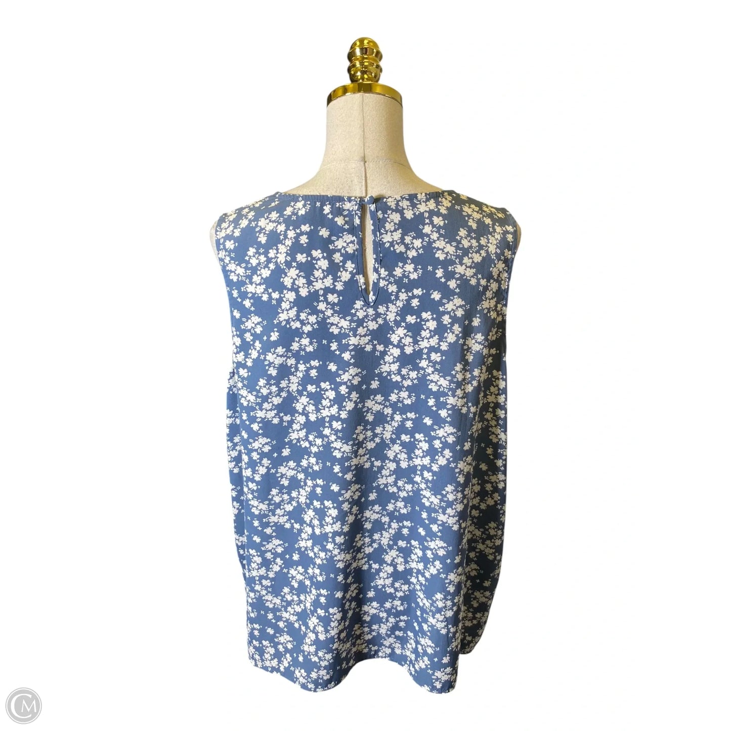 Blouse Sleeveless By Clothes Mentor In Blue & White, Size: Xl