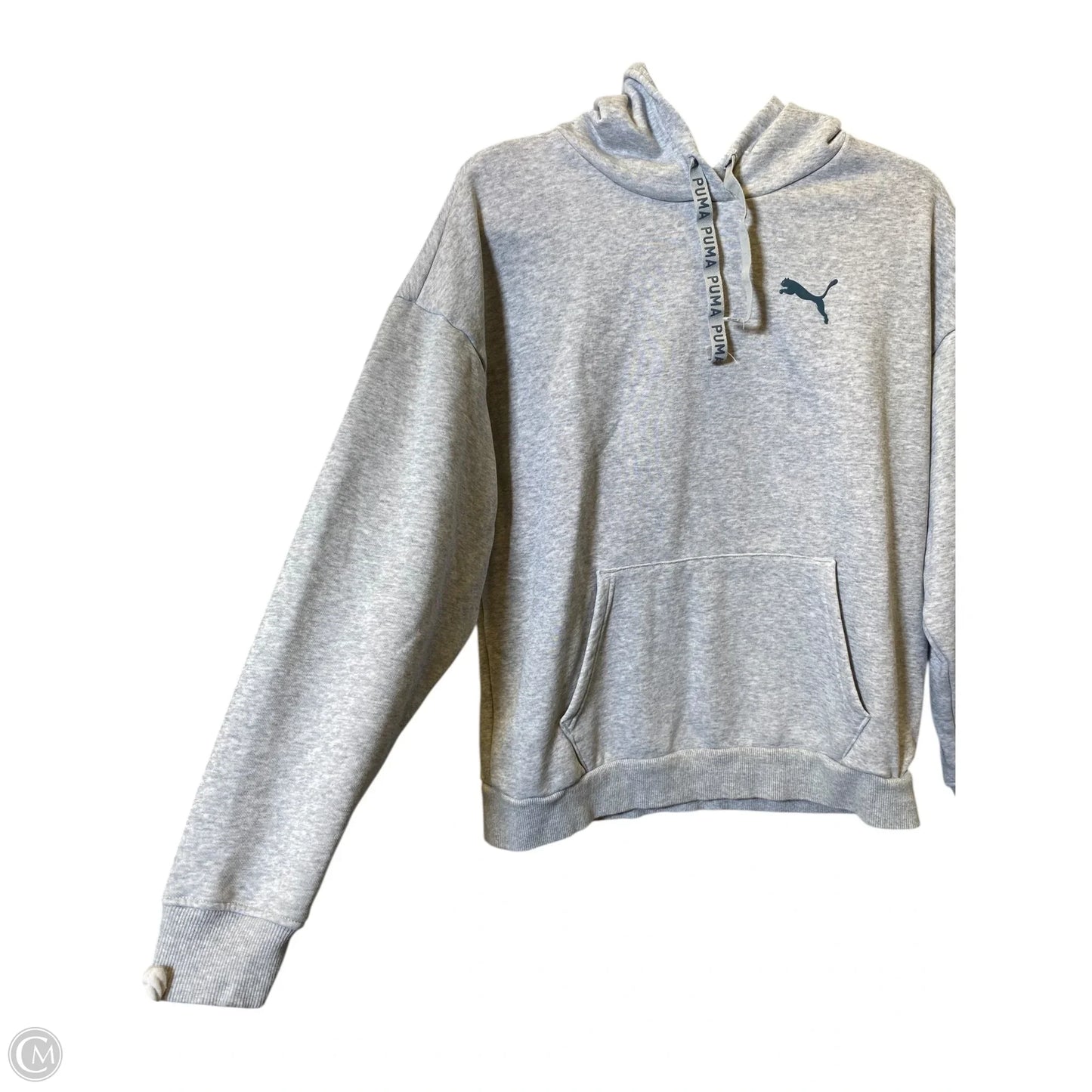 Sweatshirt Hoodie By Puma In Grey, Size: M