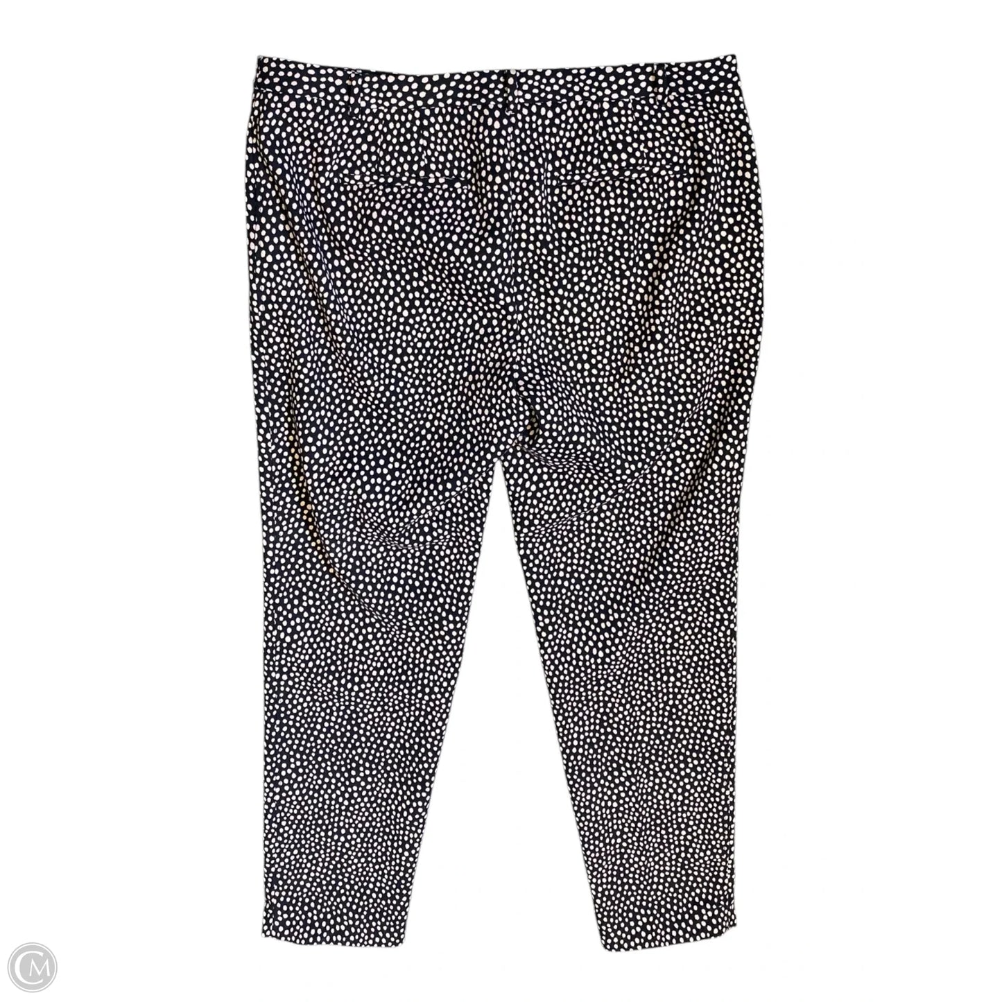 Pants Other By Talbots In Polkadot Pattern, Size: 12