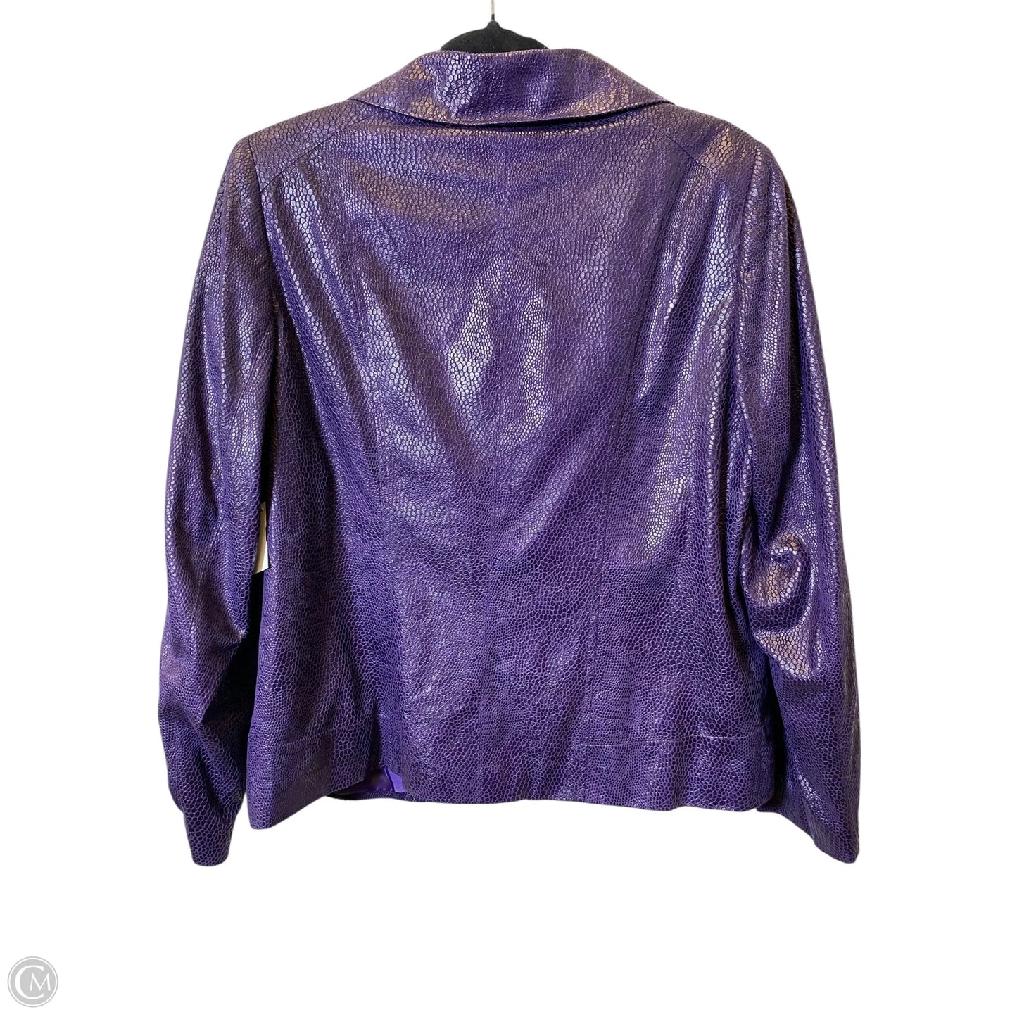 Jacket Other By Tanjay In Purple, Size: 10