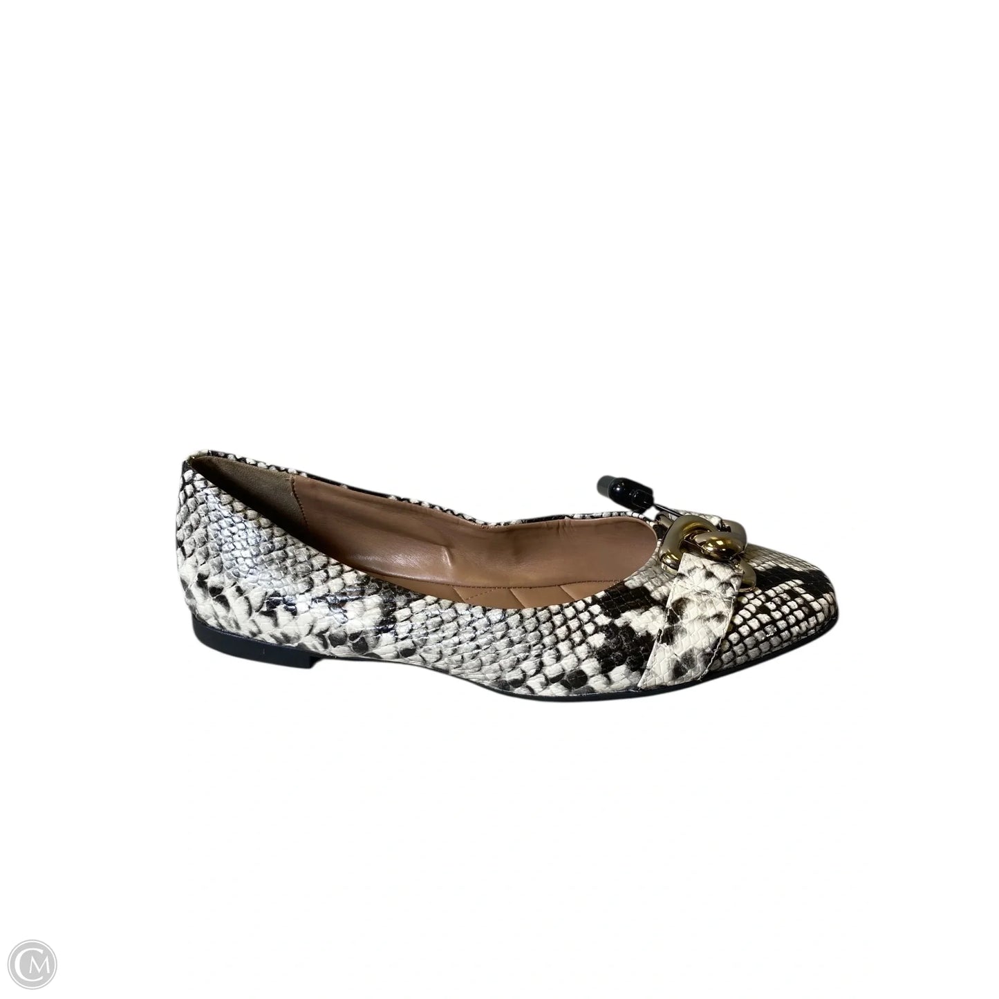 Shoes Flats By Aerosoles In Snakeskin Print, Size: 10
