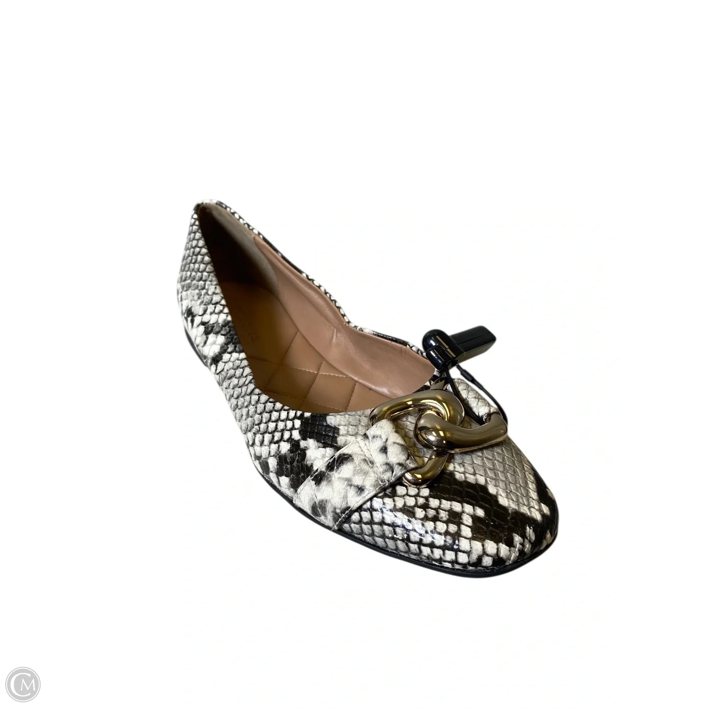 Shoes Flats By Aerosoles In Snakeskin Print, Size: 10