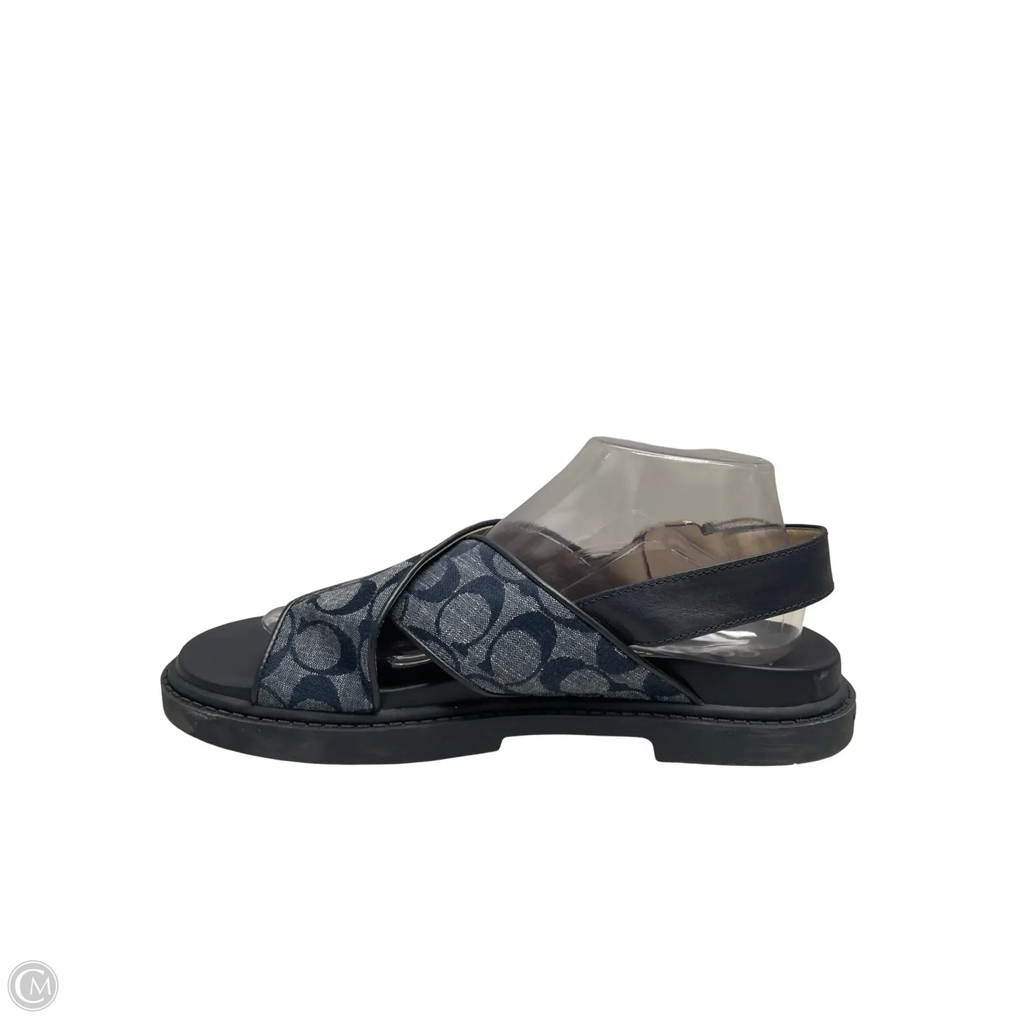Sandals Designer By Coach In Blue, Size: 10