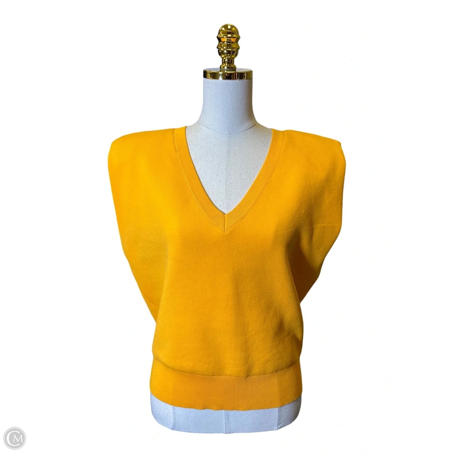 Vest Sweater By Express In Yellow, Size: M