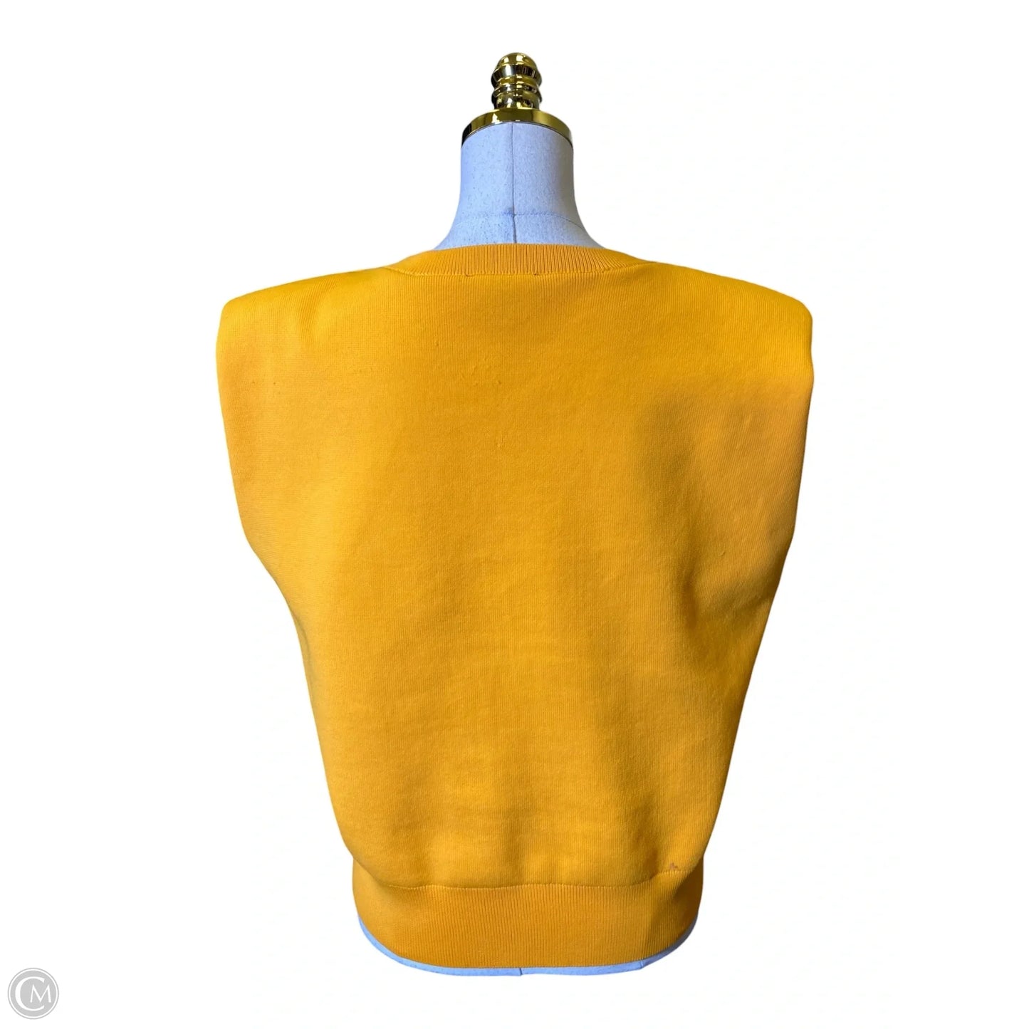 Vest Sweater By Express In Yellow, Size: M
