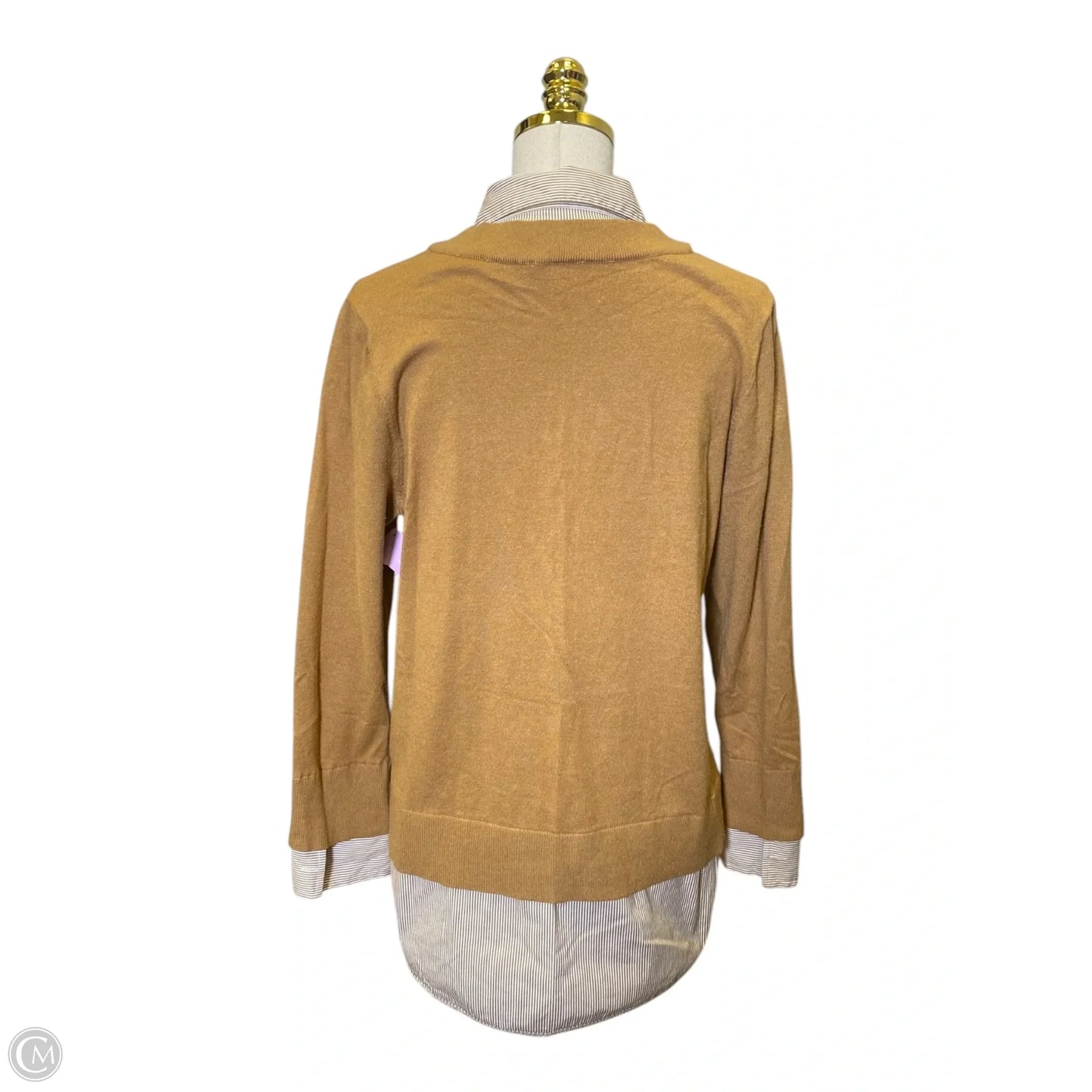 Top Long Sleeve By Chicos In Brown, Size: L
