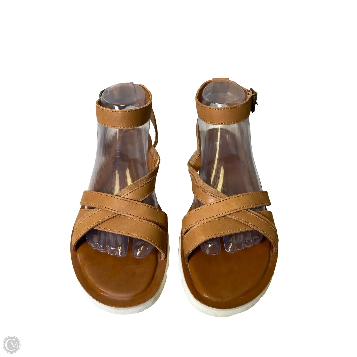 Sandals Flats By Toms In Brown, Size: 8