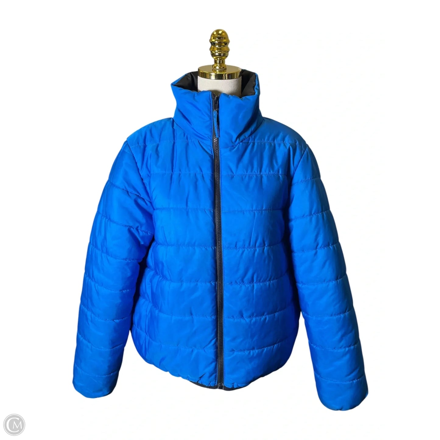 Jacket Puffer & Quilted By Wild Fable In Blue, Size: L