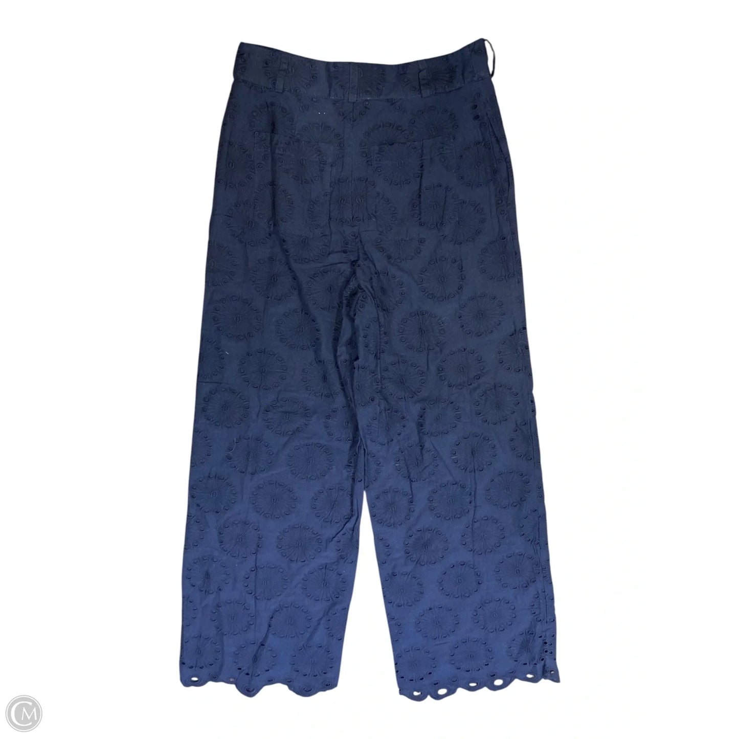Pants Other By Sundance In Blue, Size: 8