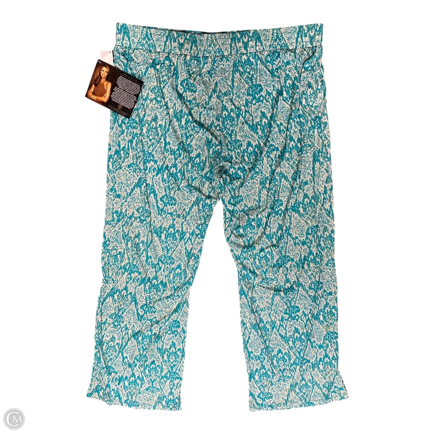 Pants Other By Clothes Mentor In Teal, Size: 2x