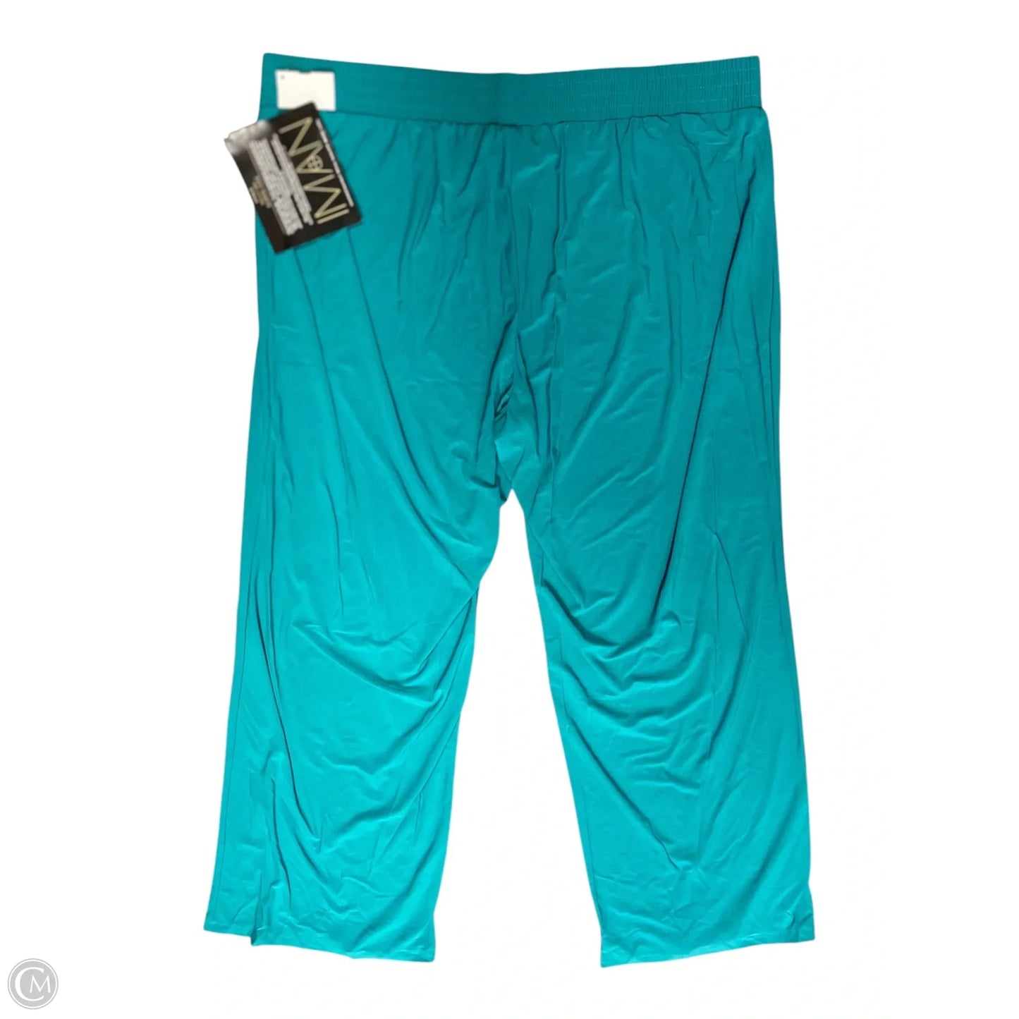 Pants Other By Clothes Mentor In Teal, Size: 2x