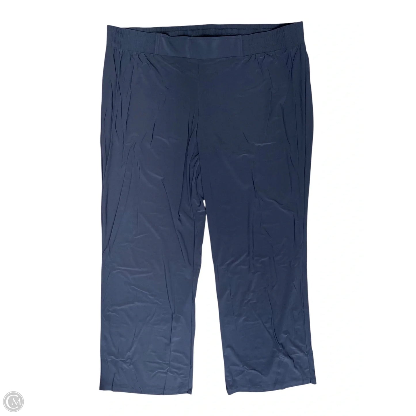 Pants Other By Clothes Mentor In Navy, Size: 2x