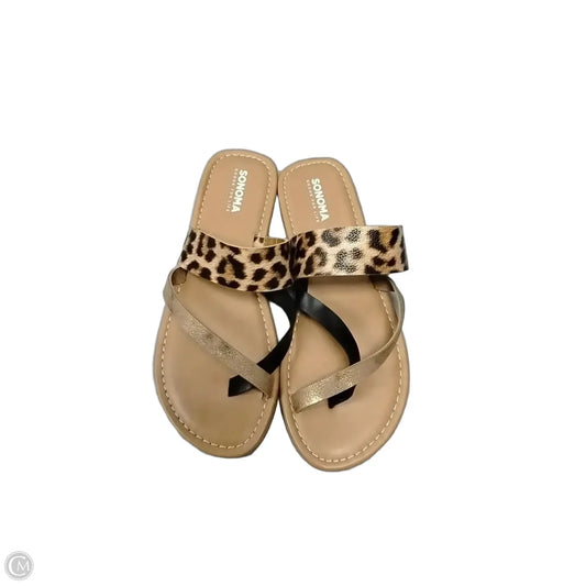 Sandals Flip Flops By Sonoma In Animal Print, Size: 10