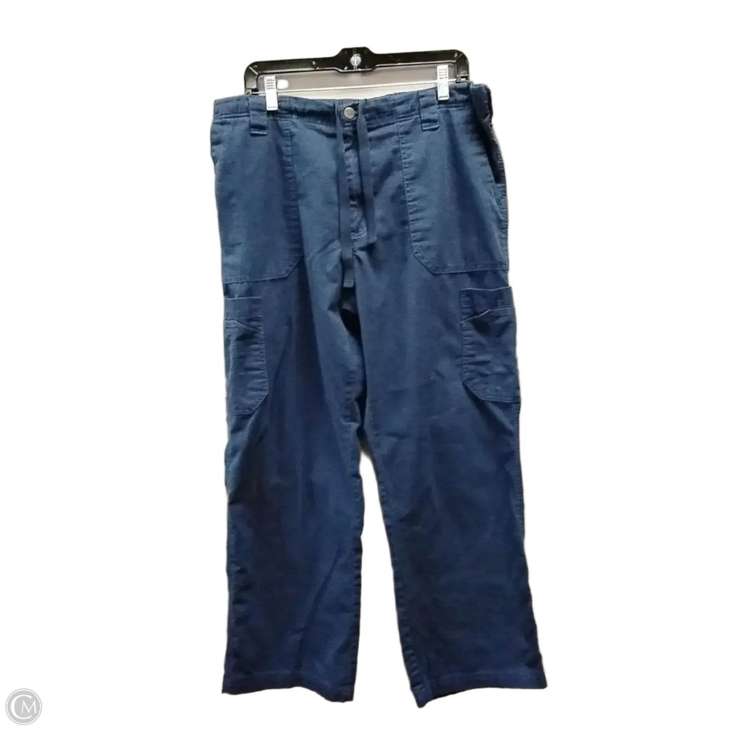 Pants Cargo & Utility By Carhartt In Blue, Size: 12