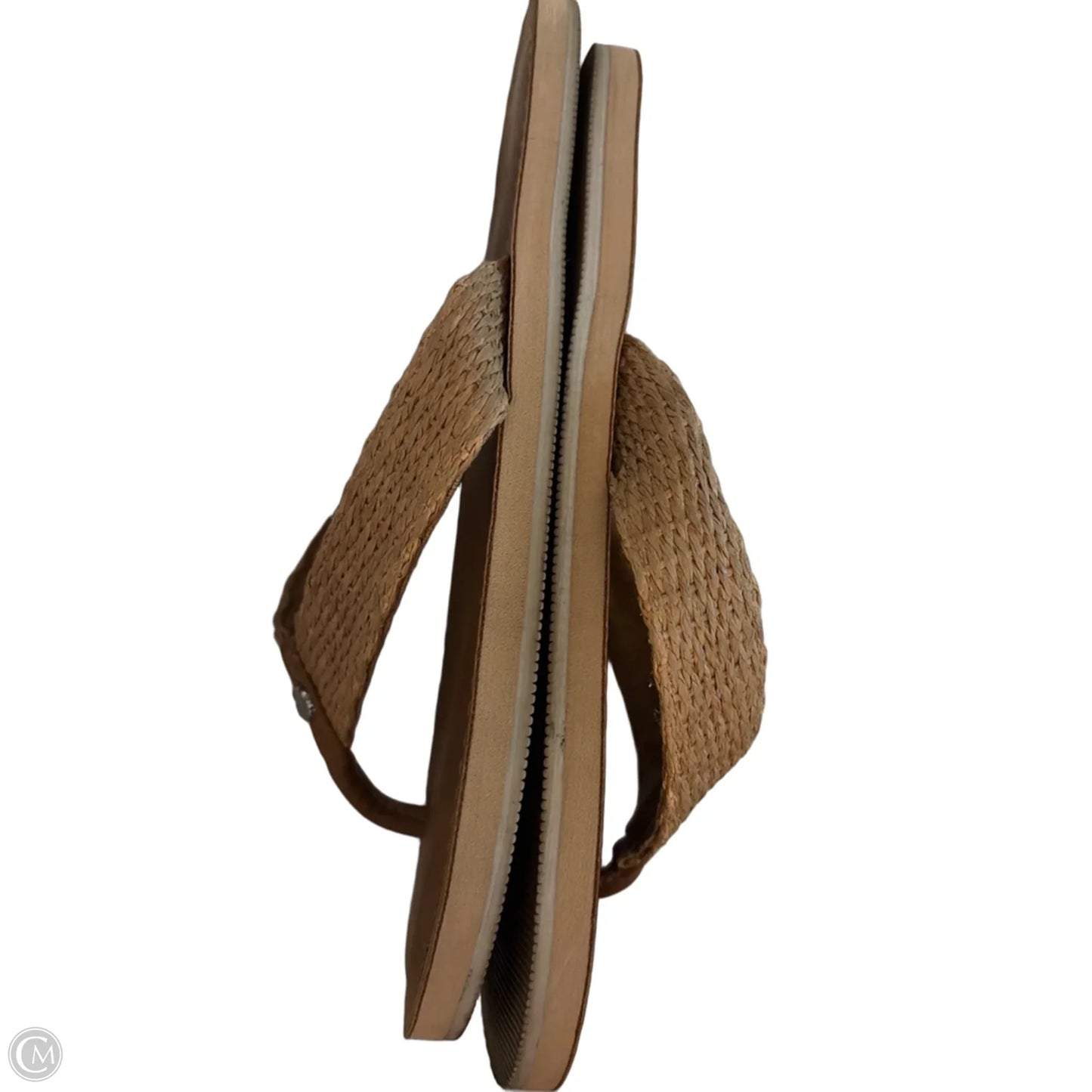 Sandals Flip Flops By Tommy Bahama In Brown, Size: 9
