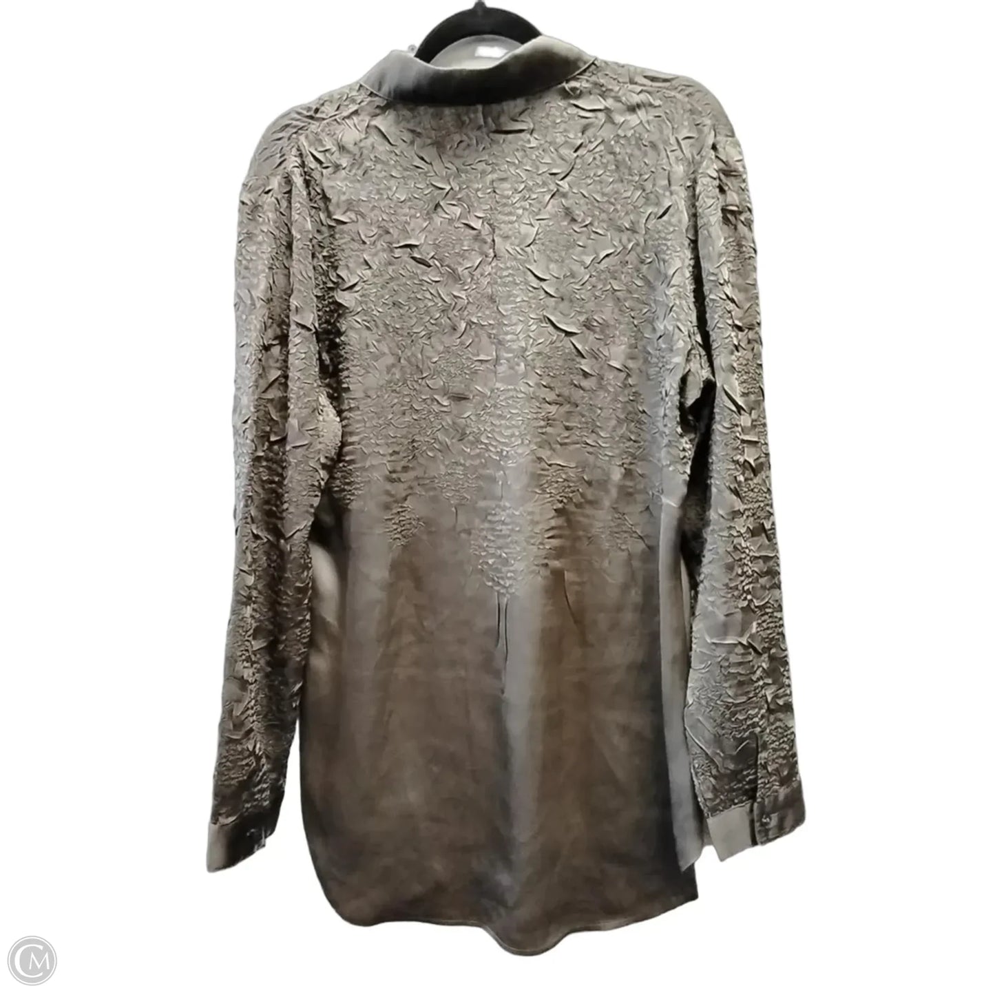Blouse Long Sleeve By Chicos In Brown, Size: M